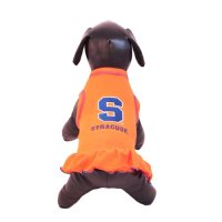 NCAA Syracuse Orange Cheerleader Dog Dress, Team Color, Medium