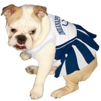 Pets First NFL Indianapolis Colts  Dog Cheerleader Dress, Small