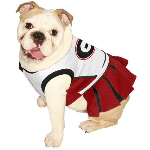 Pets First Florida State Seminoles Cheerleading Outfit 