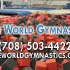 Gymnastic Classes, Cheerleading in Chicago Heights IL 60411