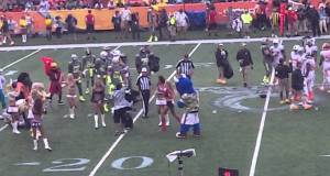 Texans Cheerleader Destroys Mascot at PRO BOWL!