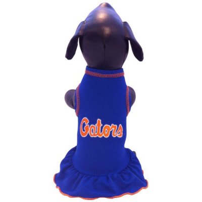 NCAA Florida Gators Cheerleader Dog Dress, Team Color, Large