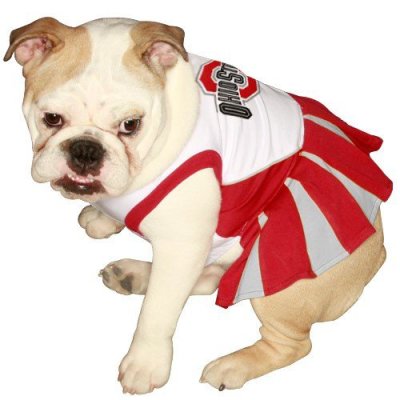 Pets First NCAA University of Ohio Buckeyes Cheerleader Dog Outfit, Small