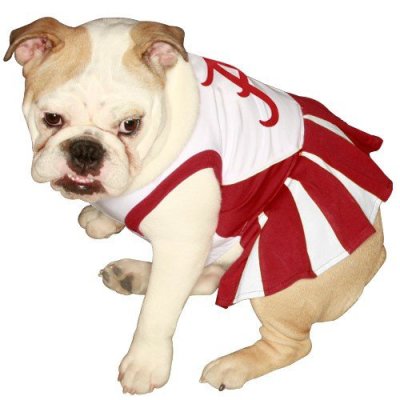 Pets First NCAA University of Alabama Crimson Tide Cheerleader Dog Outfit, Medium