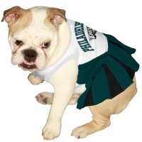 Philadelphia Eagles Cheer Dog Costume