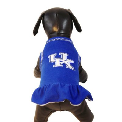 NCAA Kentucky Wildcats Cheerleader Dog Dress (Team Color, Medium)
