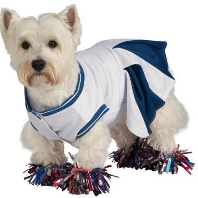 Deluxe Cheerleader Pet Costume, Small