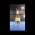 Advanced Cheerleading Stunt Progression: Cradle